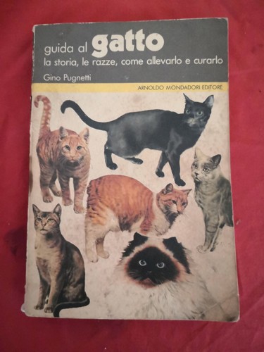 Guida gatto storia - gatto, la