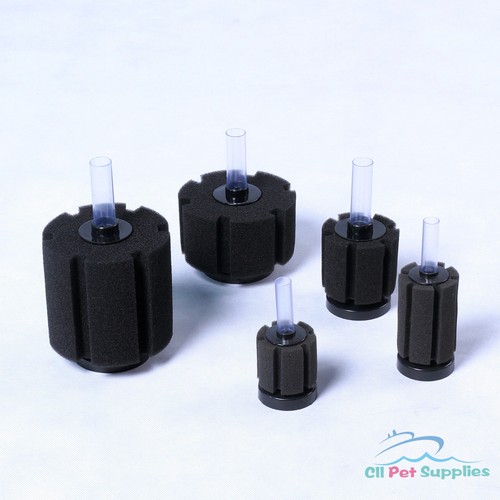 Filtro spugna bio allevamento - filtro,