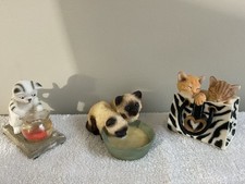 Gatti Gattini Tabby in