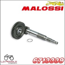 6713339 Ingranaggi primari