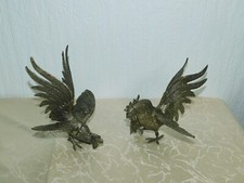 Coppia Di Galline Combattenti