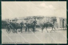 Torino Città Carrozza Cavalli