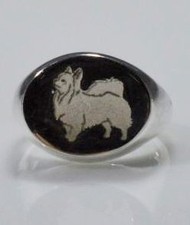 Anello nuovo chevalier