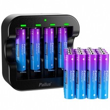 Pallus Batteria Litio Batterie