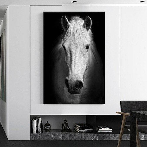 Quadro parete cavallo - quadro,