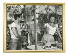 ANTONIO CIFARIELLO SOPHIA