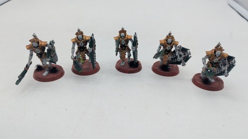 Painted necron lychguard - painted,