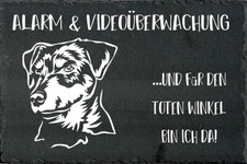 TERRIER DA CACCIA TEDESCO