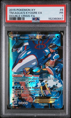 2015 pokemon doppia - xy,