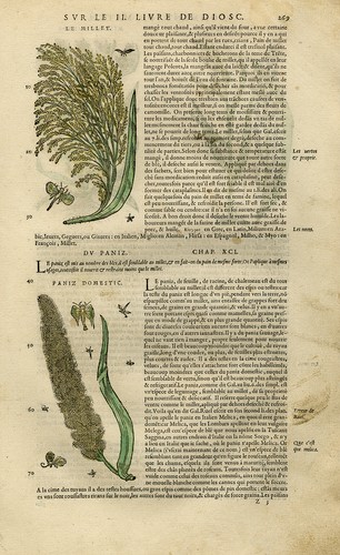 Stampa