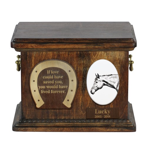Amerikanisches quarter horse - amerikanisches,