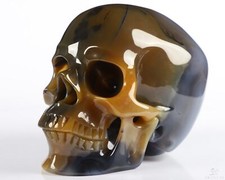 5.1" Premium Brazilian Agate