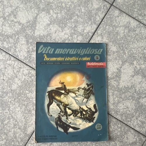 Vita meravigliosa enciclopedia - meravigliosa,