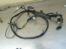 Wiring harness Kymco People 50
