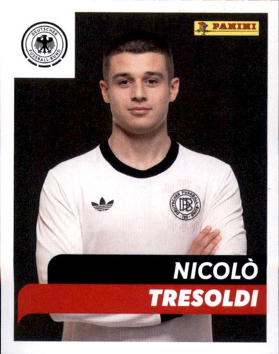 Adesivo dfb 2025 125 - adesivo,