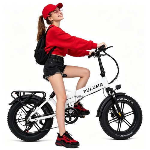 Bicicletta elettrica 750w 48v - bicicletta,