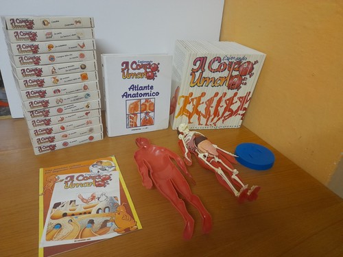 Esplorando corpo umano 30 - il,