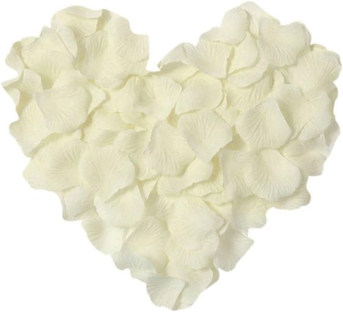 Ntruxzp 1000 petali - 1000, rosa