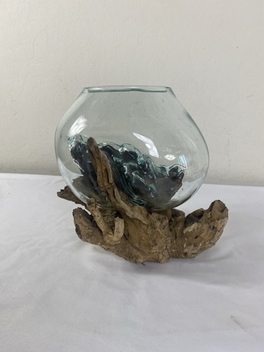 Terrario vetro soffiato - terrario, con