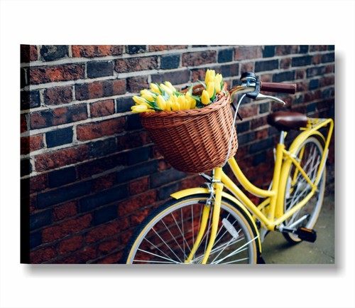 Quadri moderni bici - bici, vintage