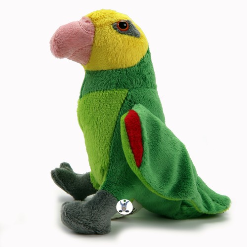 Amazzone peluche lori - lori, verde
