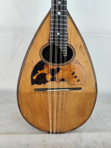 Mandolino francesco e - mandolino,