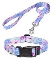 Mihqy Set Collare e Guinzaglio