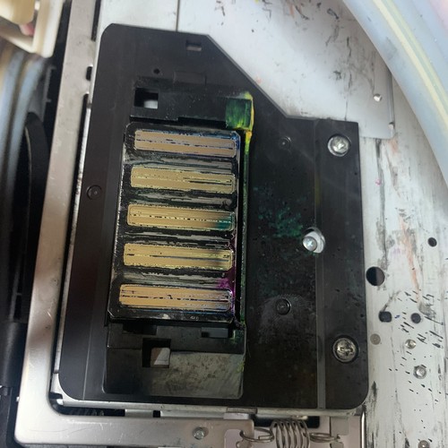 Gruppo testa epson stylus - testa,