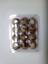 50 CONTENITORI PER 12 UOVA DI