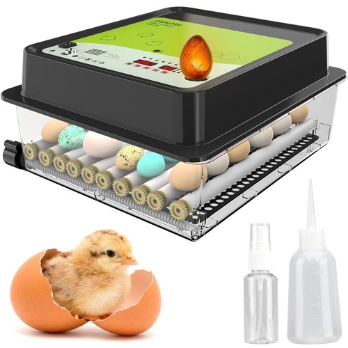 Incubadora huevos - de,