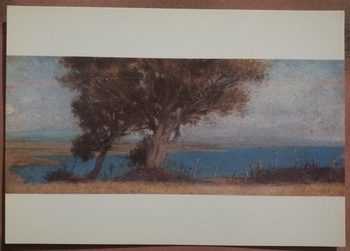 Raffaello sernesi marina di - -,