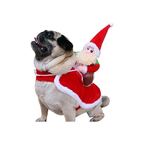 Costume equitazione cane - da,