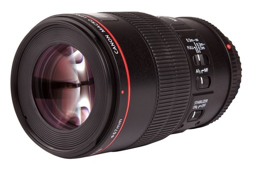 Canon 100 8 l - 100,
