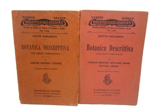 Bizzarrini botanica - bizzarrini, g-botanica