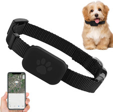 Collare Localizzatore GPS per