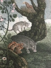 Enzo Bellini serigrafia colorata a mano l'Aquila la Scrofa 50x70 Certificato