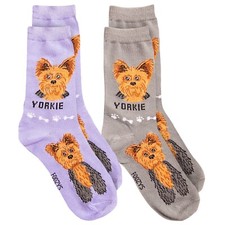 Yorkie Yorkshire Terrier