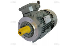 MOTORE ELETTRICO TRIFASE -