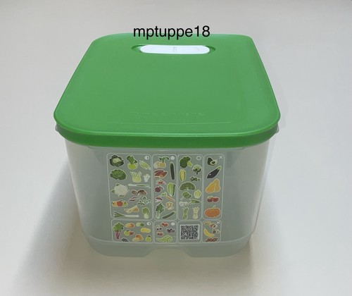 Nuovissimo tupperware 1 - tupperware,