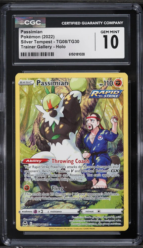 2022 pokemon argento tempesta - 2022,