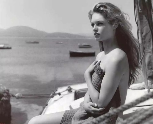 Quadro brigitte bardot - brigitte,