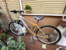 Bicicletta mountain bike
