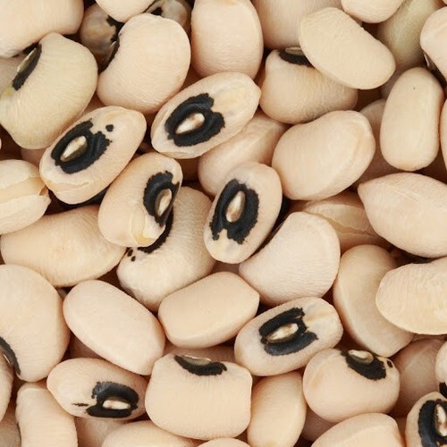 Fagioli con occhio varietà - fagioli,