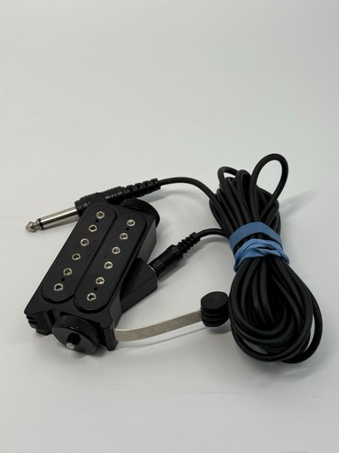 Raro pickup soundhole chitarra