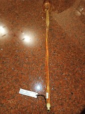 capricci d’arte Tulipano