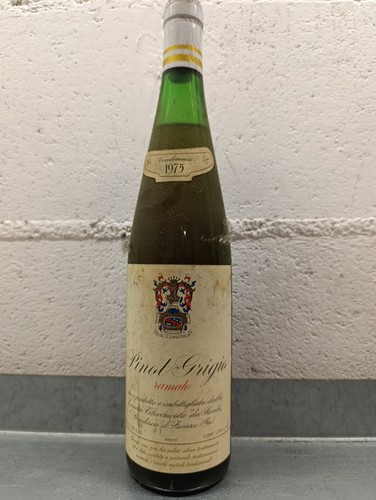 Vino pinot grigio - grigio, 1975