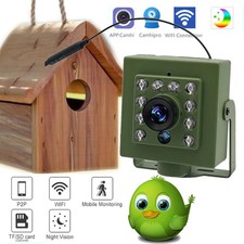 Telecamera verde Wifi Bird Box