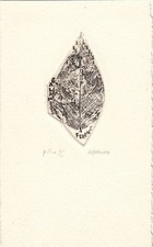 Exlibris Bookplate Radierung