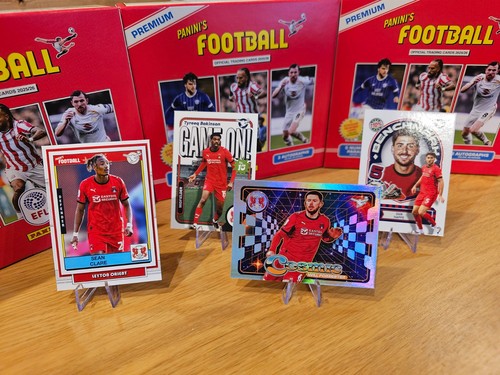 Panini efl football - panini,