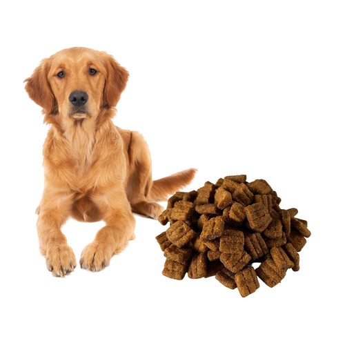 Cibo secco per cani - 20,